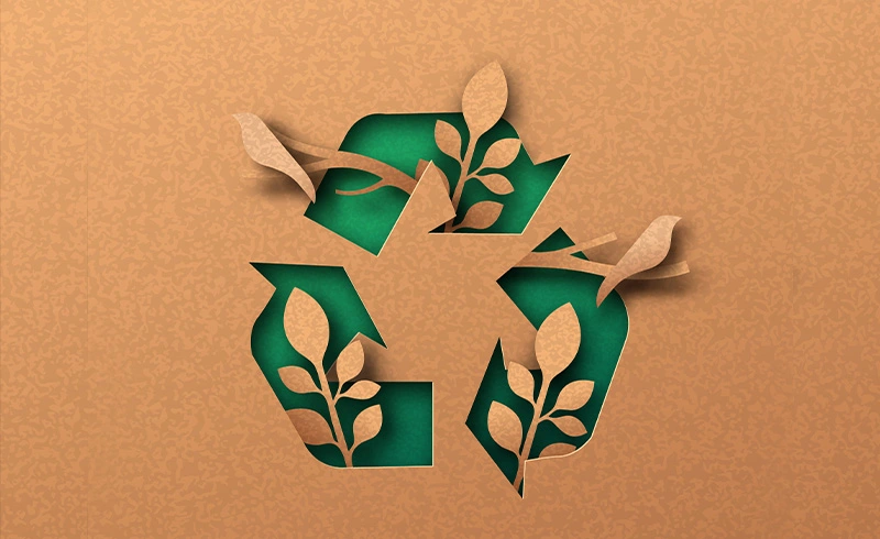 Czym papier ekologiczny różni się od standardowego?